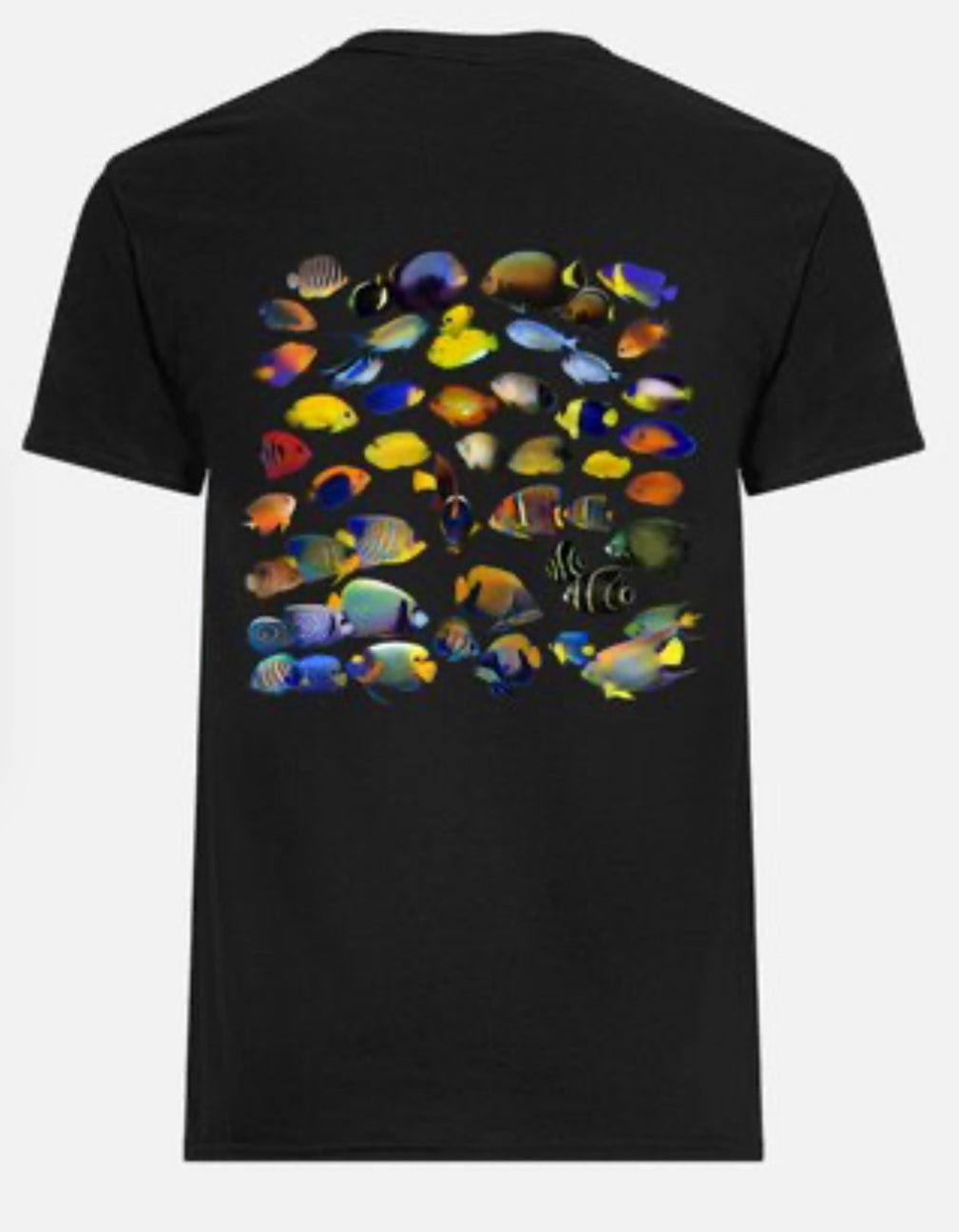 Reef Secret Angels T-Shirt