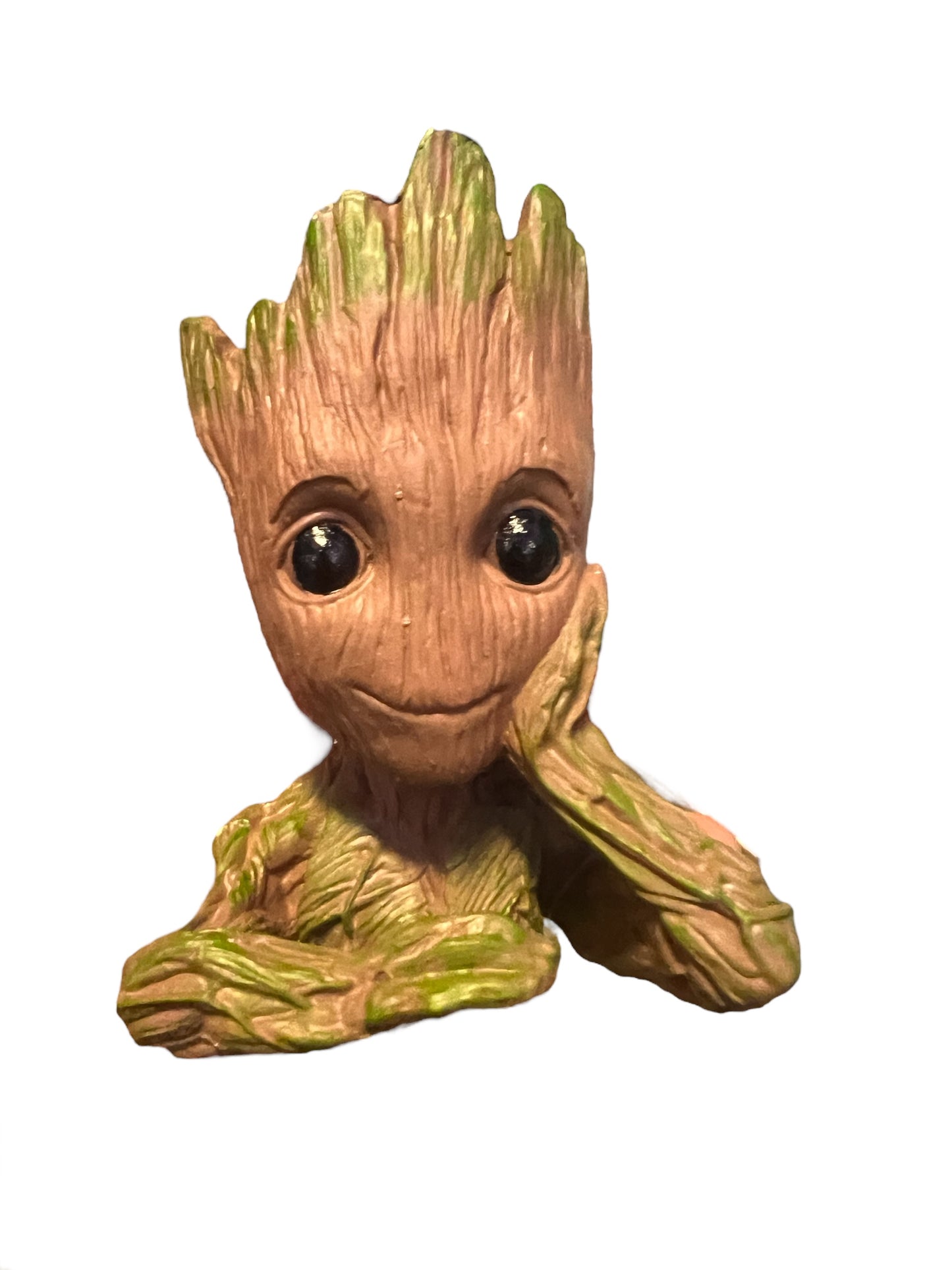 Groot Forest fire bubble Tip Anemone