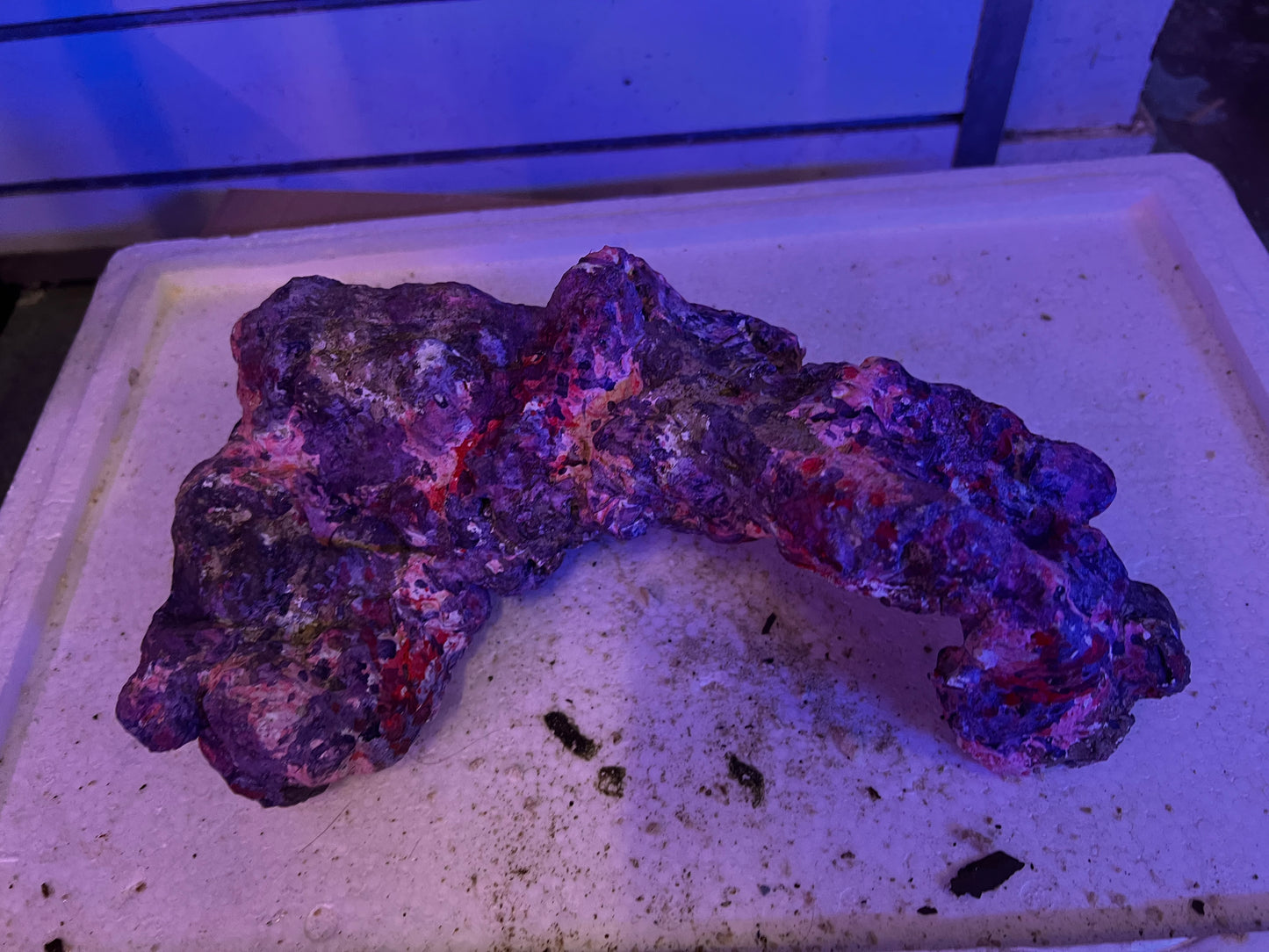 Ronald’s 3 Rock Arches