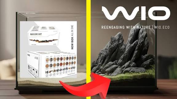WIO - Silver Shine River kit