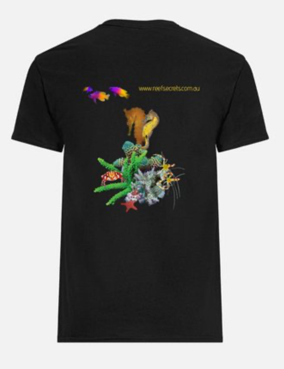 Reef Secret’s Reef 2 T-Shirt