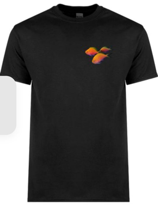 Reef Secret Anthias T-Shirt