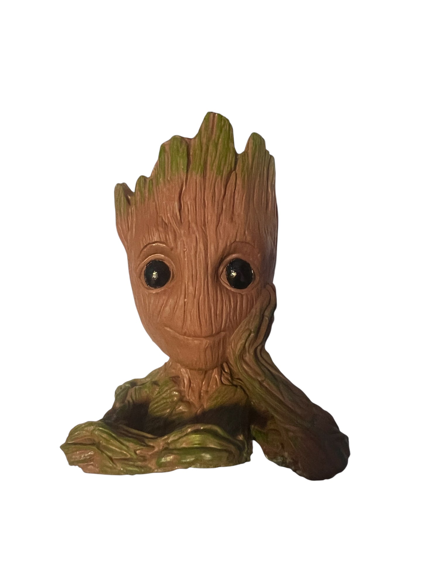 Groot Forest fire bubble Tip Anemone