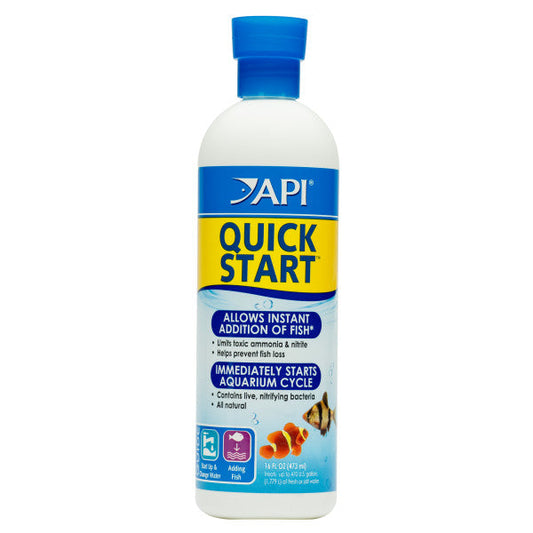 API QuickStart