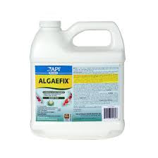 API AlgaeFix