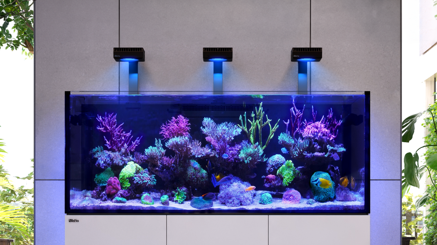 Red Sea Reefer G2+ MAX