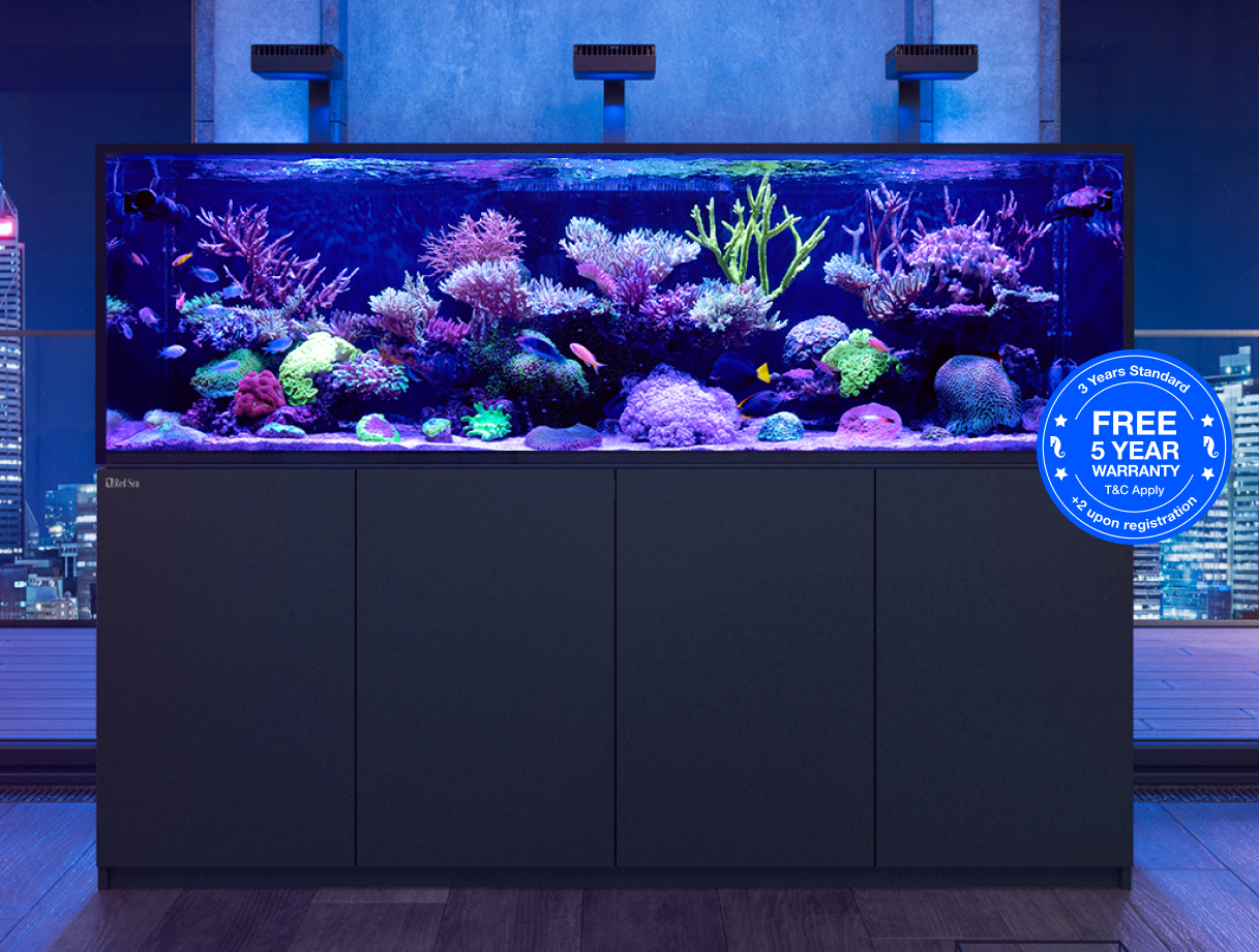 Red Sea Reefer XXL / XXXL G2+