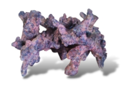 Java Reef Rock