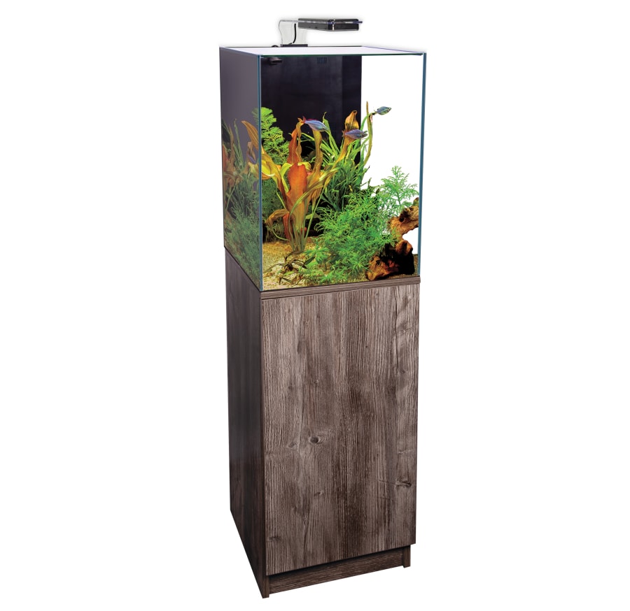 Aqua One 55 Dynamic Aquarium