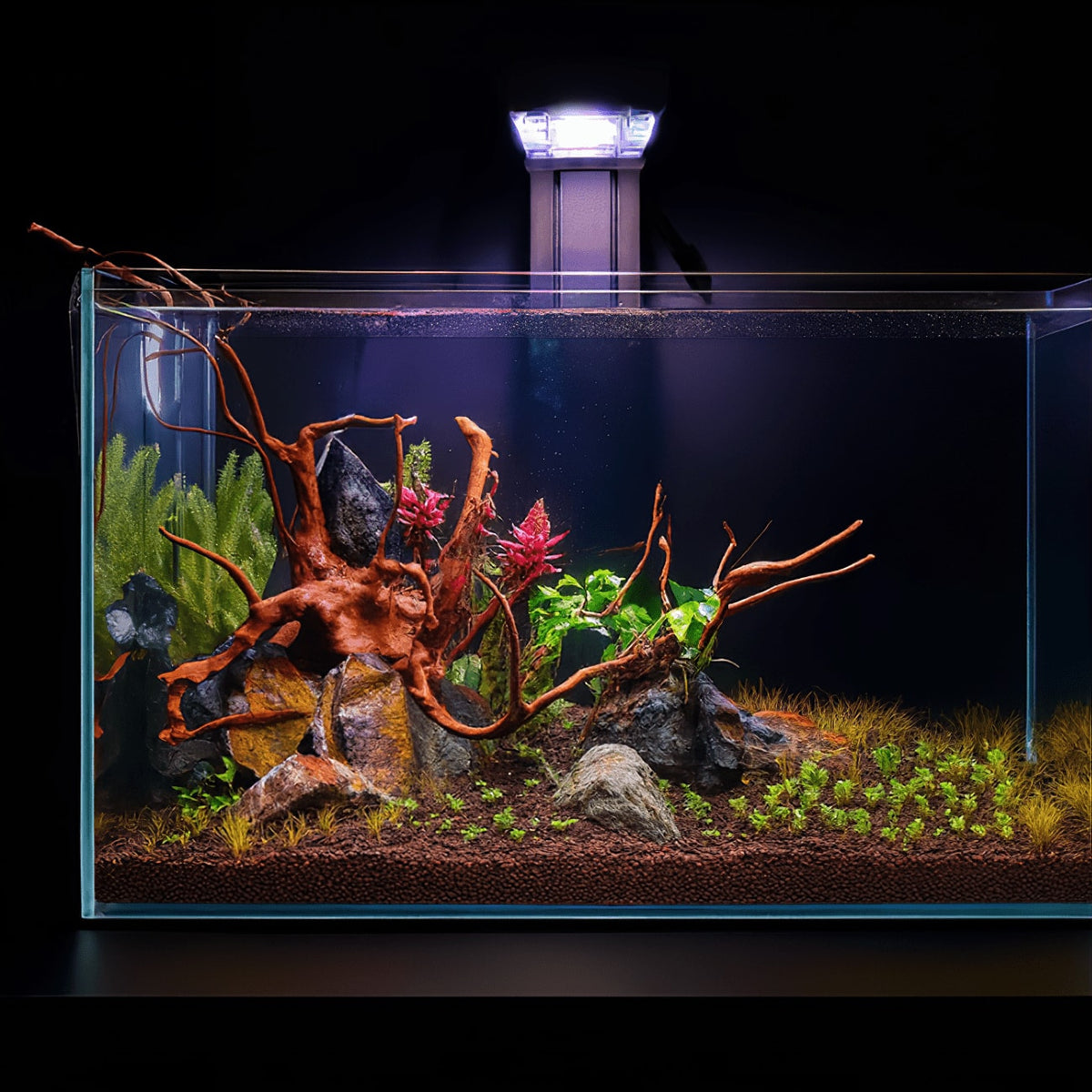 CO₂ Upgrade Kit – Complete Lighting & CO₂ Boost for Planted Tanks