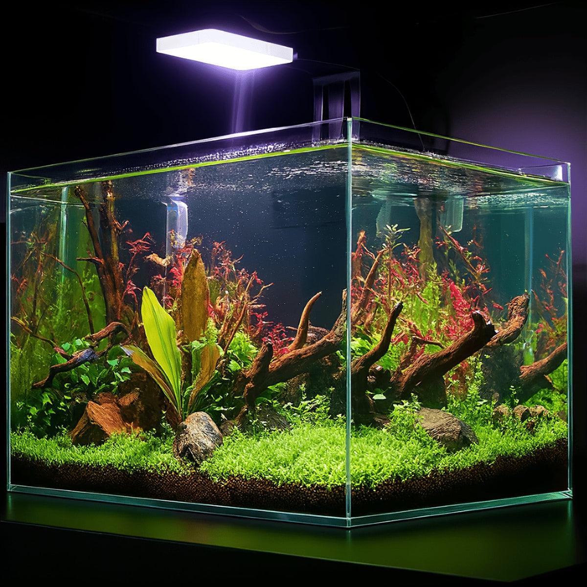 CO₂ Upgrade Kit – Complete Lighting, CO₂ & Flow Upgrade for Planted Tanks