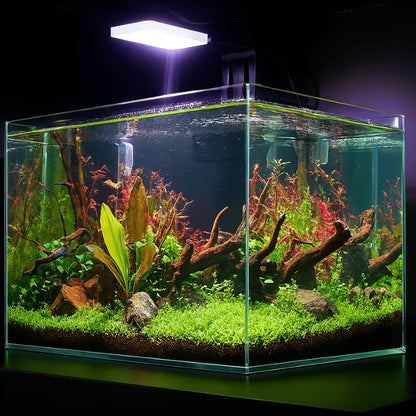 CO₂ Upgrade Kit – Complete Lighting, CO₂ & Flow Upgrade for Planted Tanks