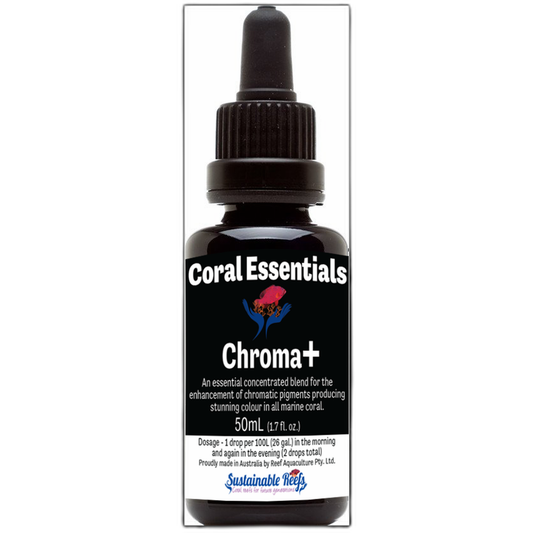 Coral Essentials Black Label