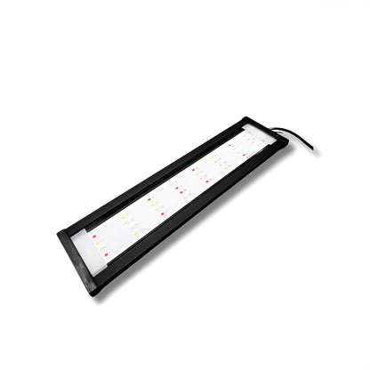 DALUA WRGB Slim LED