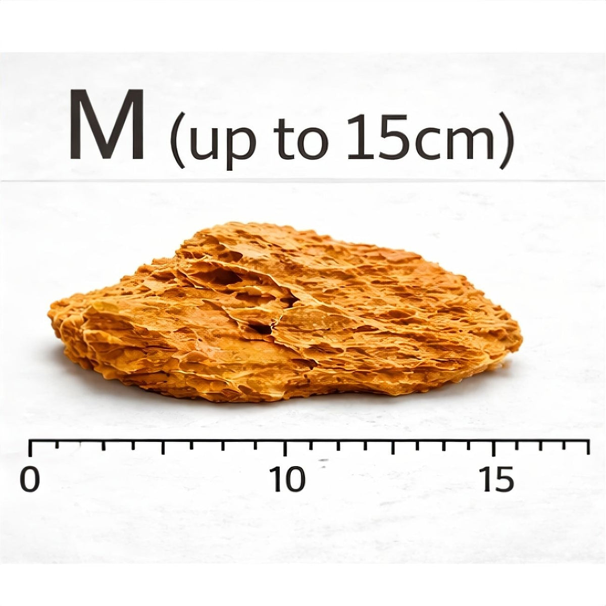 Dragon Stone (per Kg) — M - up to 15cm