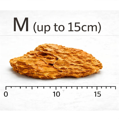Dragon Stone (per Kg) — M - up to 15cm