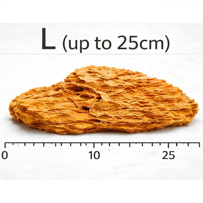 Dragon Stone (per Kg) — L - up to 25cm