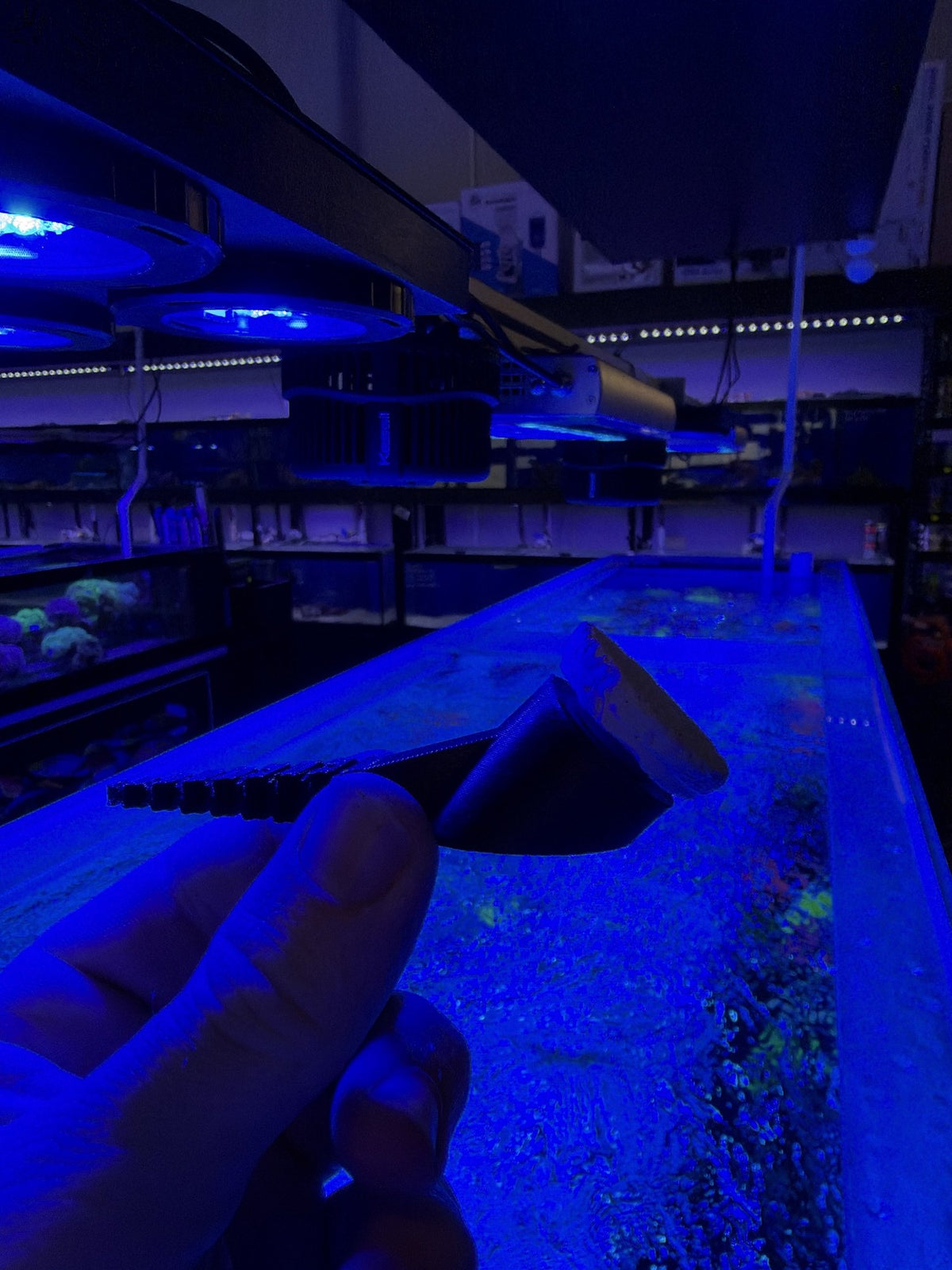 Reef Secrets 45 degree frag anchor with ceramic frag plug fitted in the angled socket, side view in the store