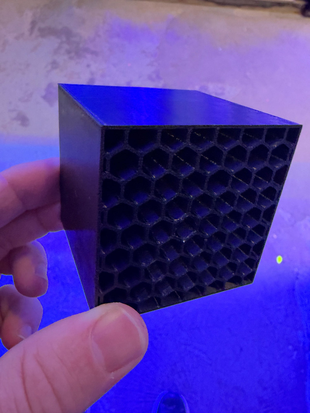 Angled view of the Mysid Shrimp Hotel showing the solid side and the honeycomb face