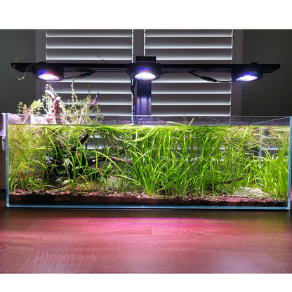 Pixel LED Bundles