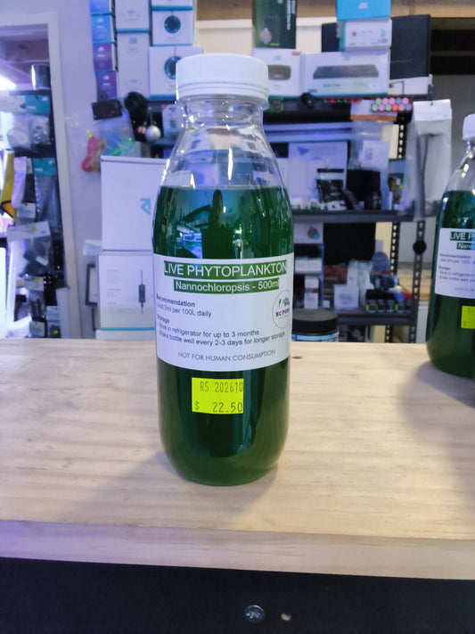 Phytoplankton