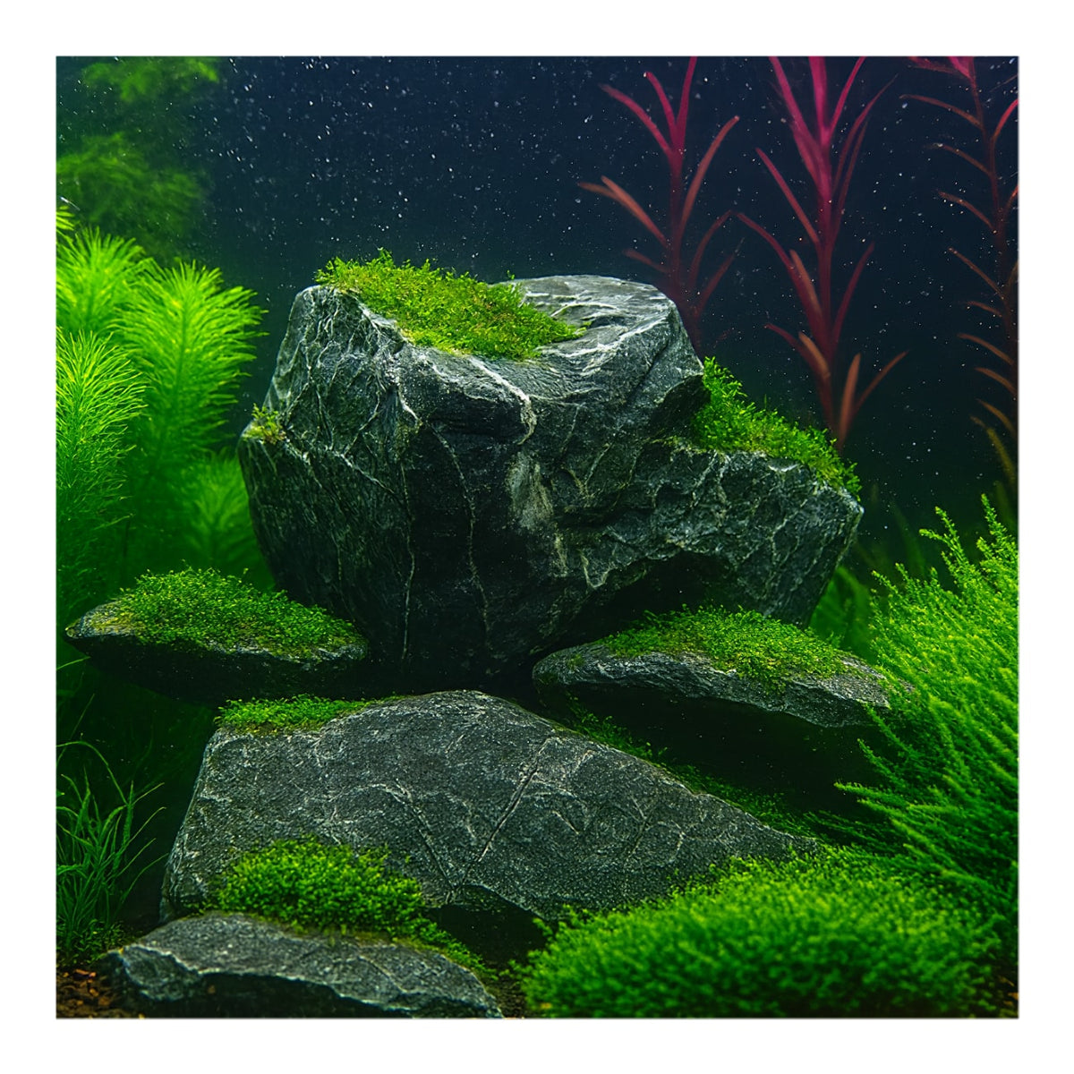 Seiryu Stone (per kg)
