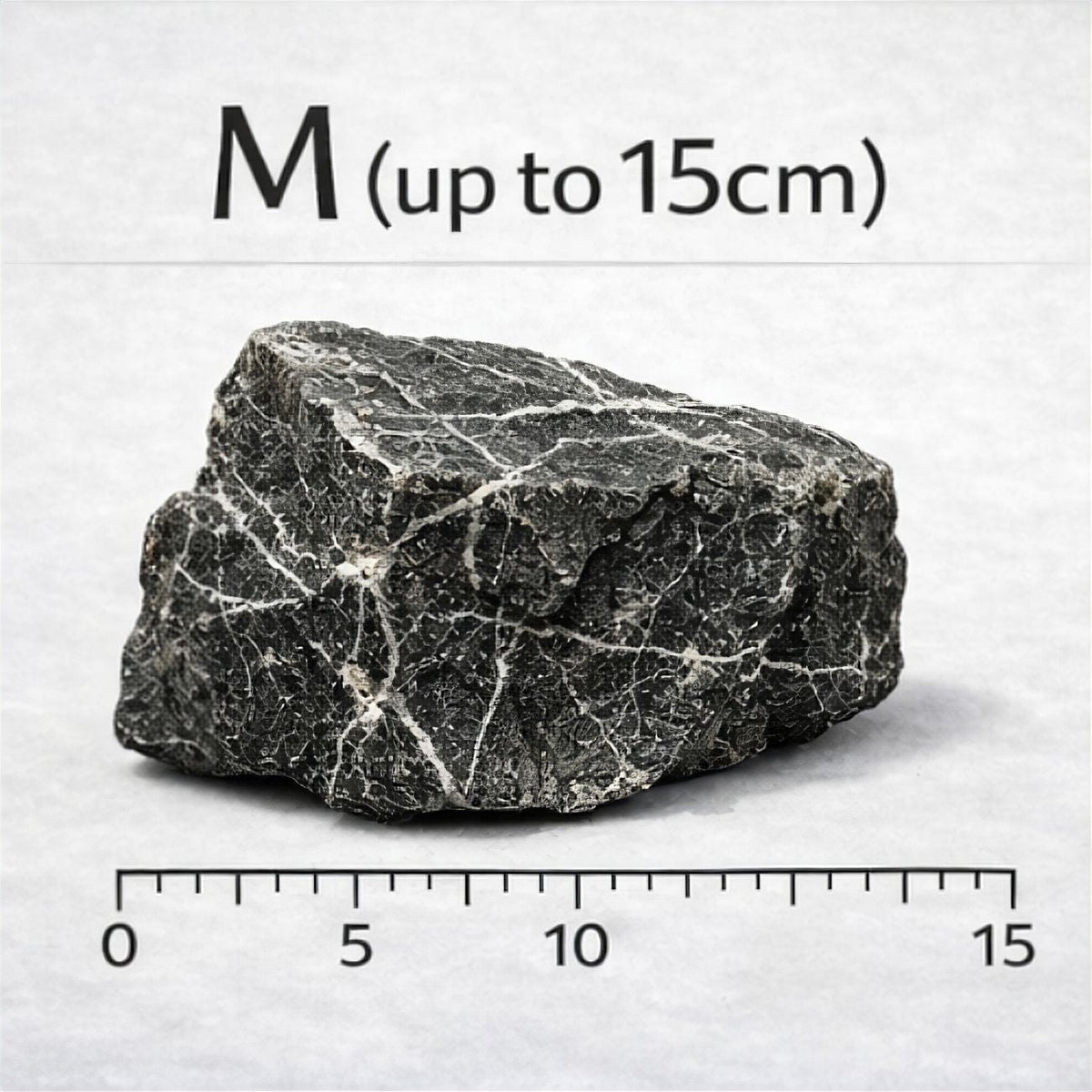 Seiryu Stone (per kg) — M - up to 15cm