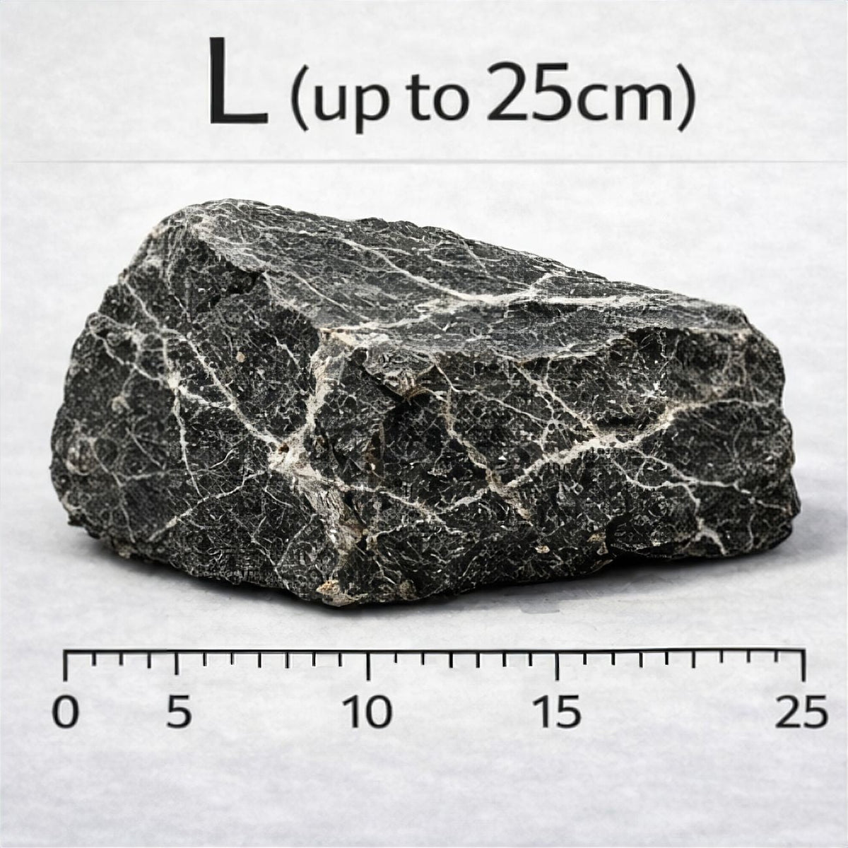 Seiryu Stone (per kg) — L - up to 25cm