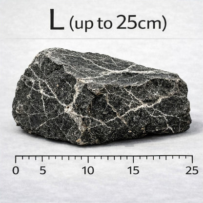 Seiryu Stone (per kg) — L - up to 25cm