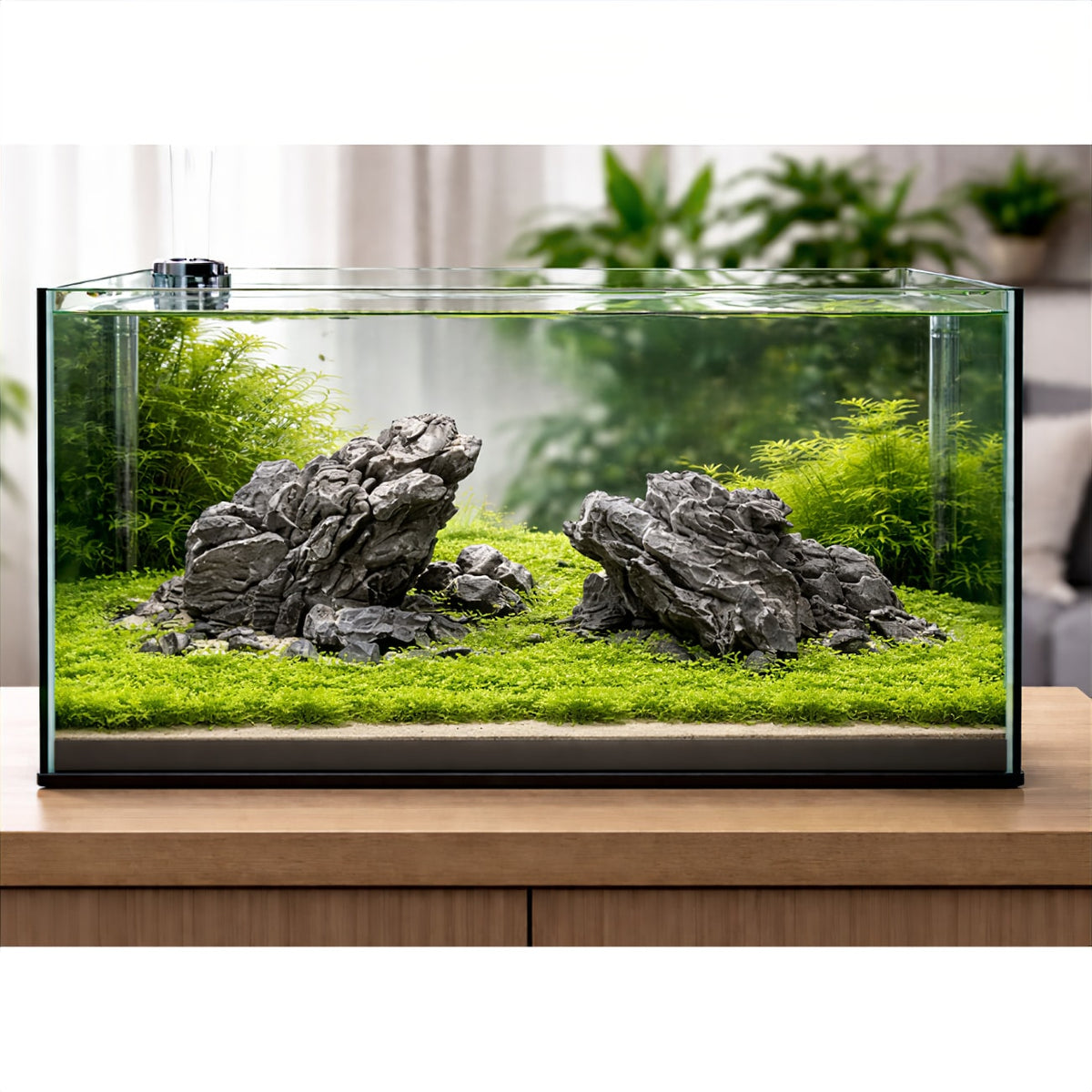 Ultimate Iwagumi Starter Kit – Complete Light, Hardscape & Filtration Bundle