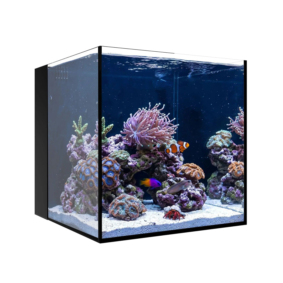 Waterbox AIO Cube 10