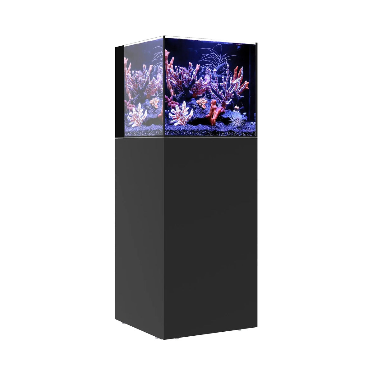 Waterbox AIO Cube 20