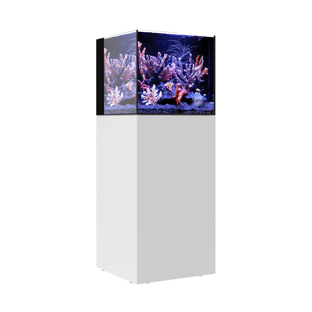 Waterbox AIO Cube 20