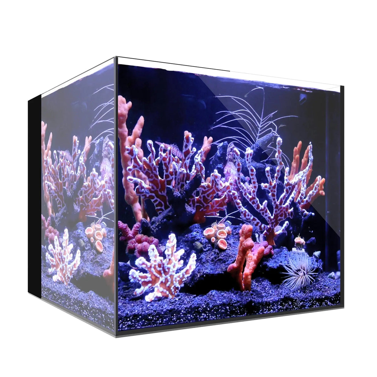 Waterbox AIO Cube 20