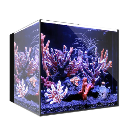 Waterbox AIO Cube 20