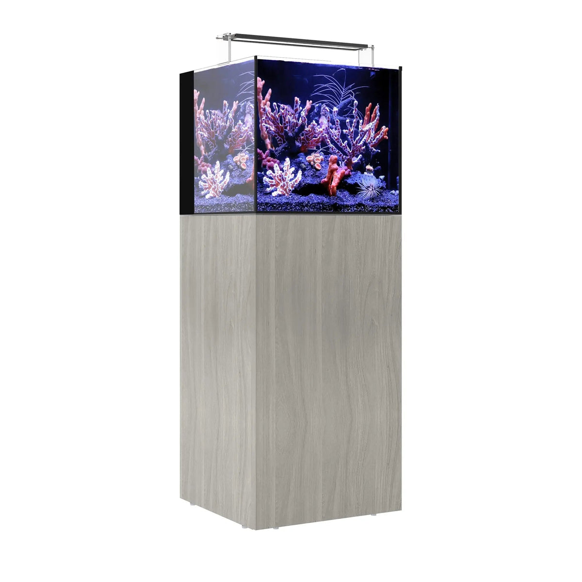 Waterbox AIO Cube 20