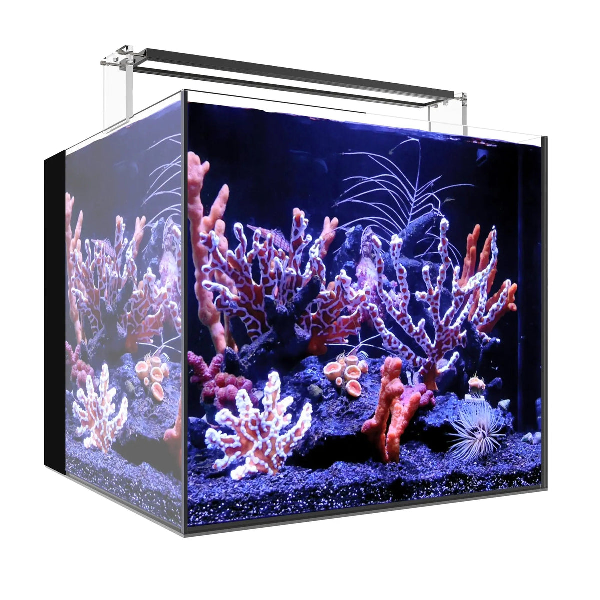 Waterbox AIO Cube 20