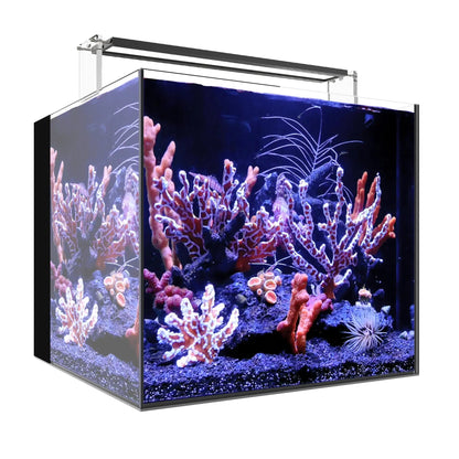 Waterbox AIO Cube 20