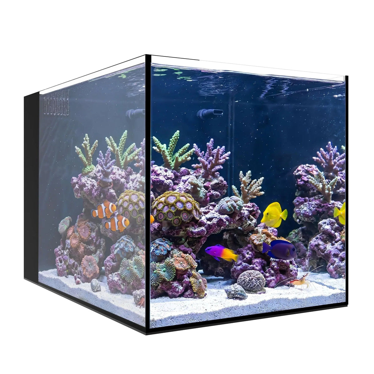 Waterbox AIO Peninsula 15