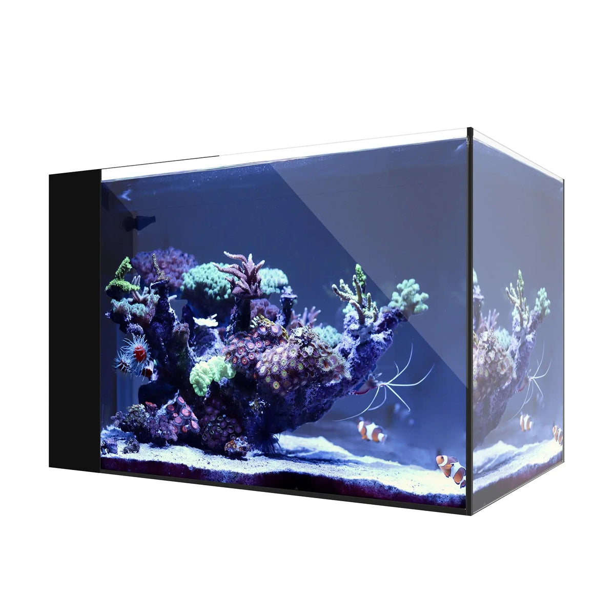 Waterbox AIO Peninsula 25