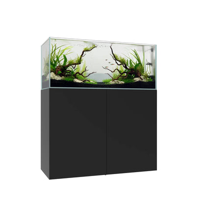 Waterbox Clear 4820