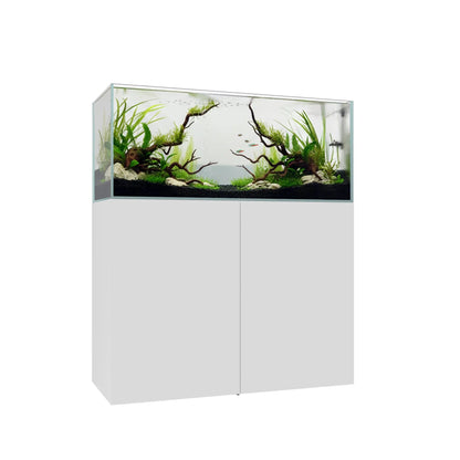Waterbox Clear 4820