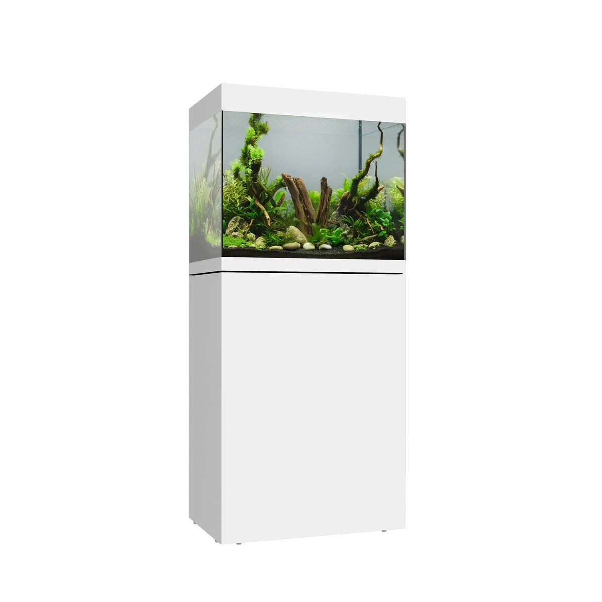 Waterbox Eden 30