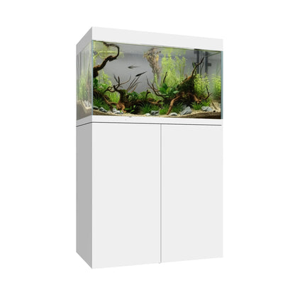 Waterbox Eden X 60
