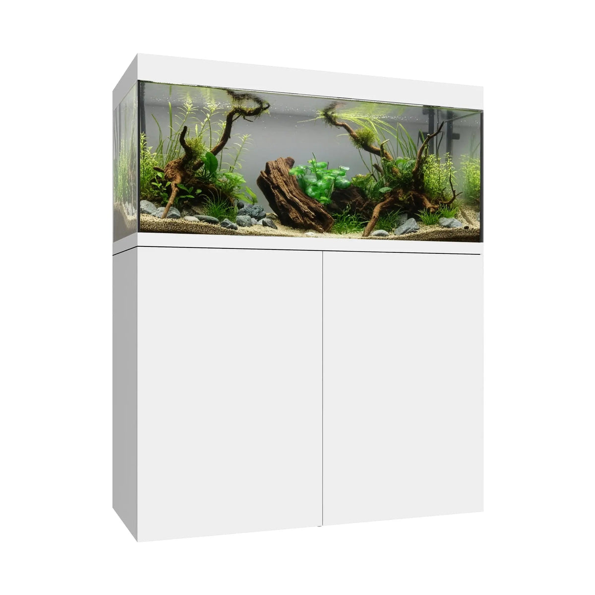 Waterbox Eden X 80