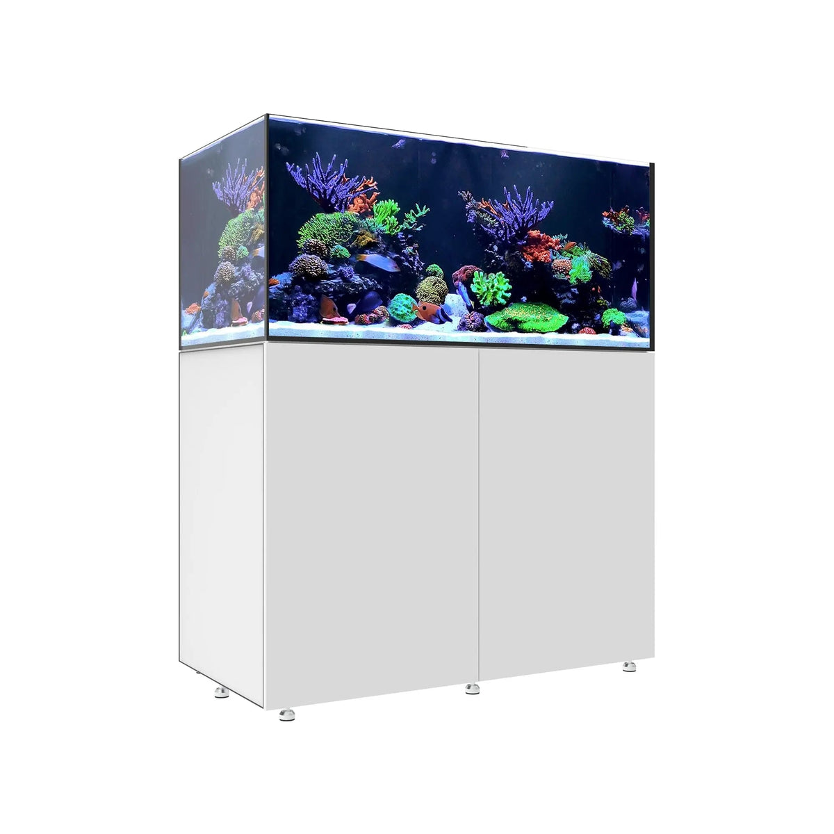 Waterbox Infinia Reef 150.4