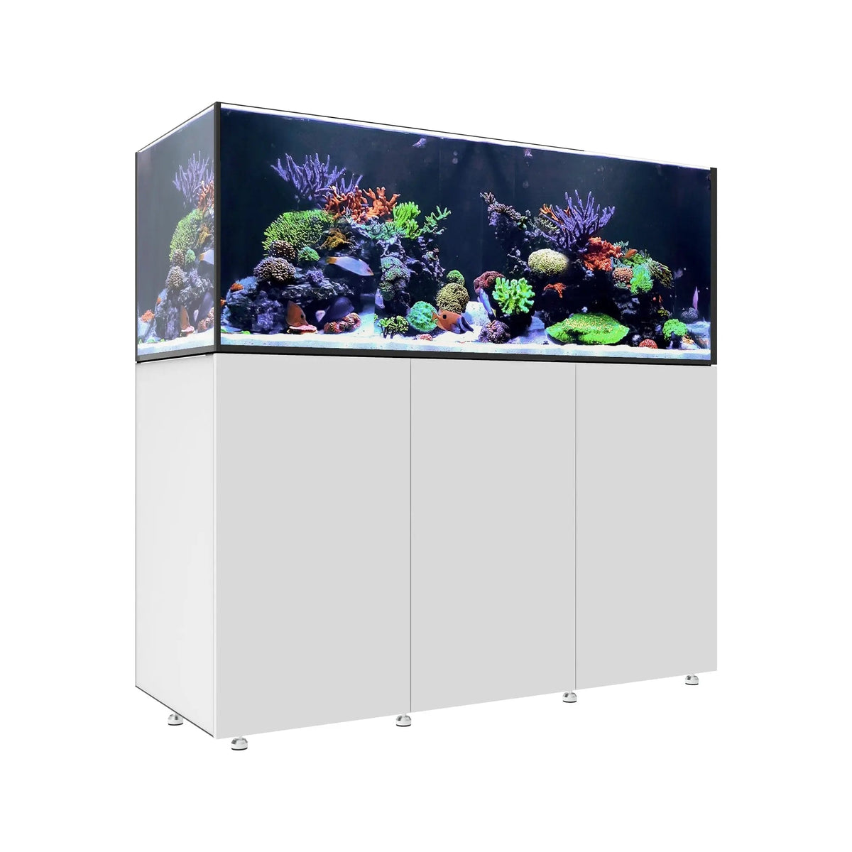 Waterbox Infinia Reef 190.5