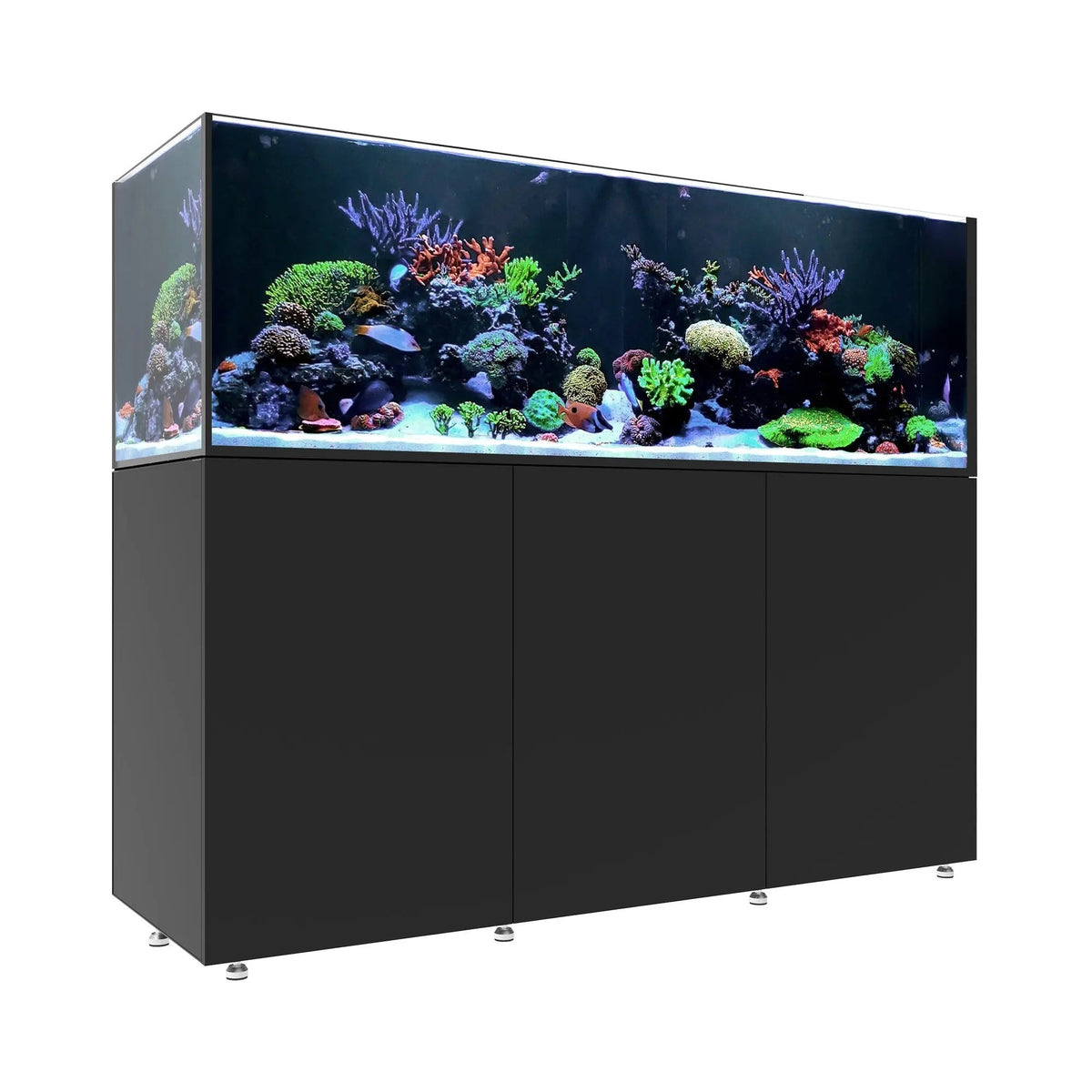 Waterbox Infinia Reef 230.6