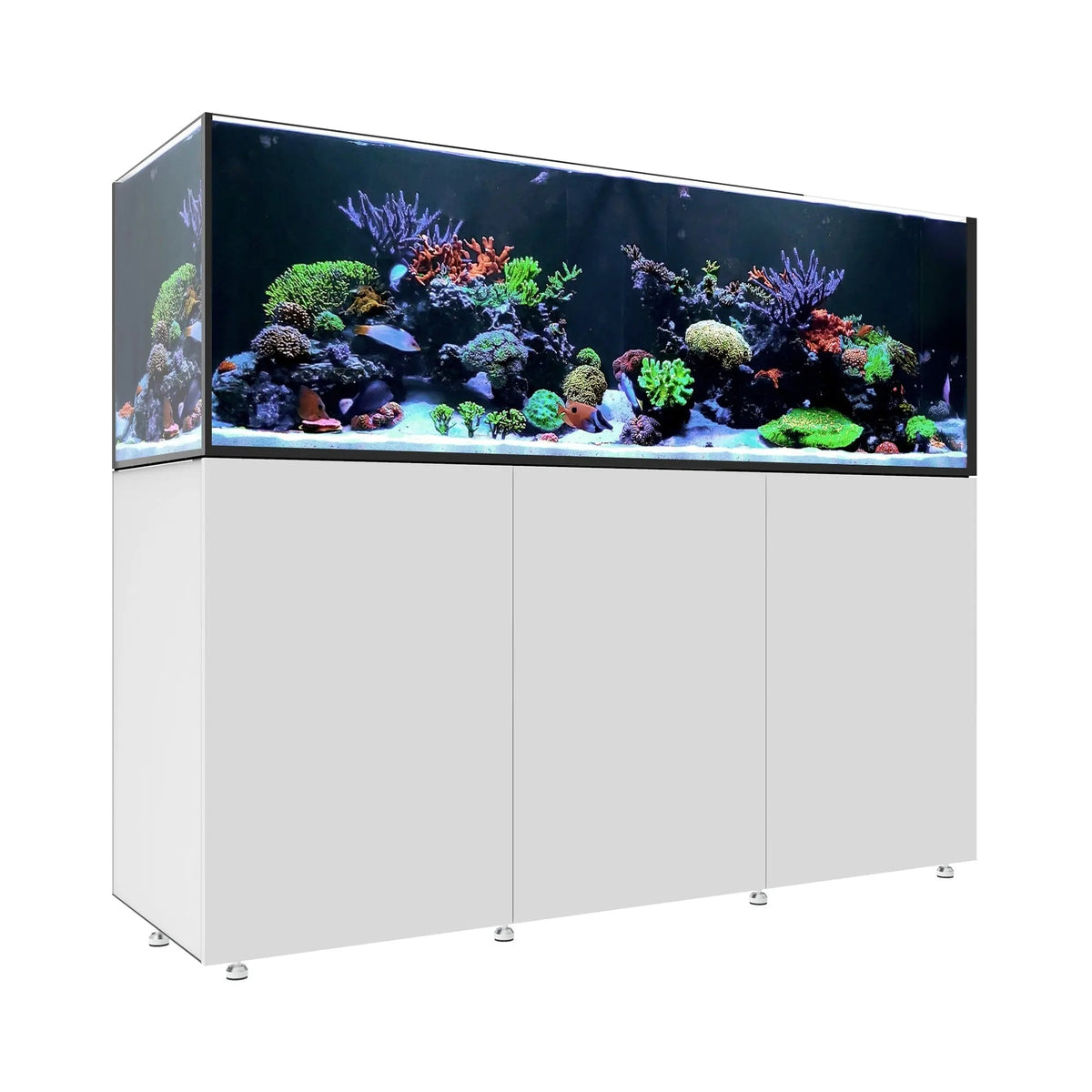 Waterbox Infinia Reef 230.6