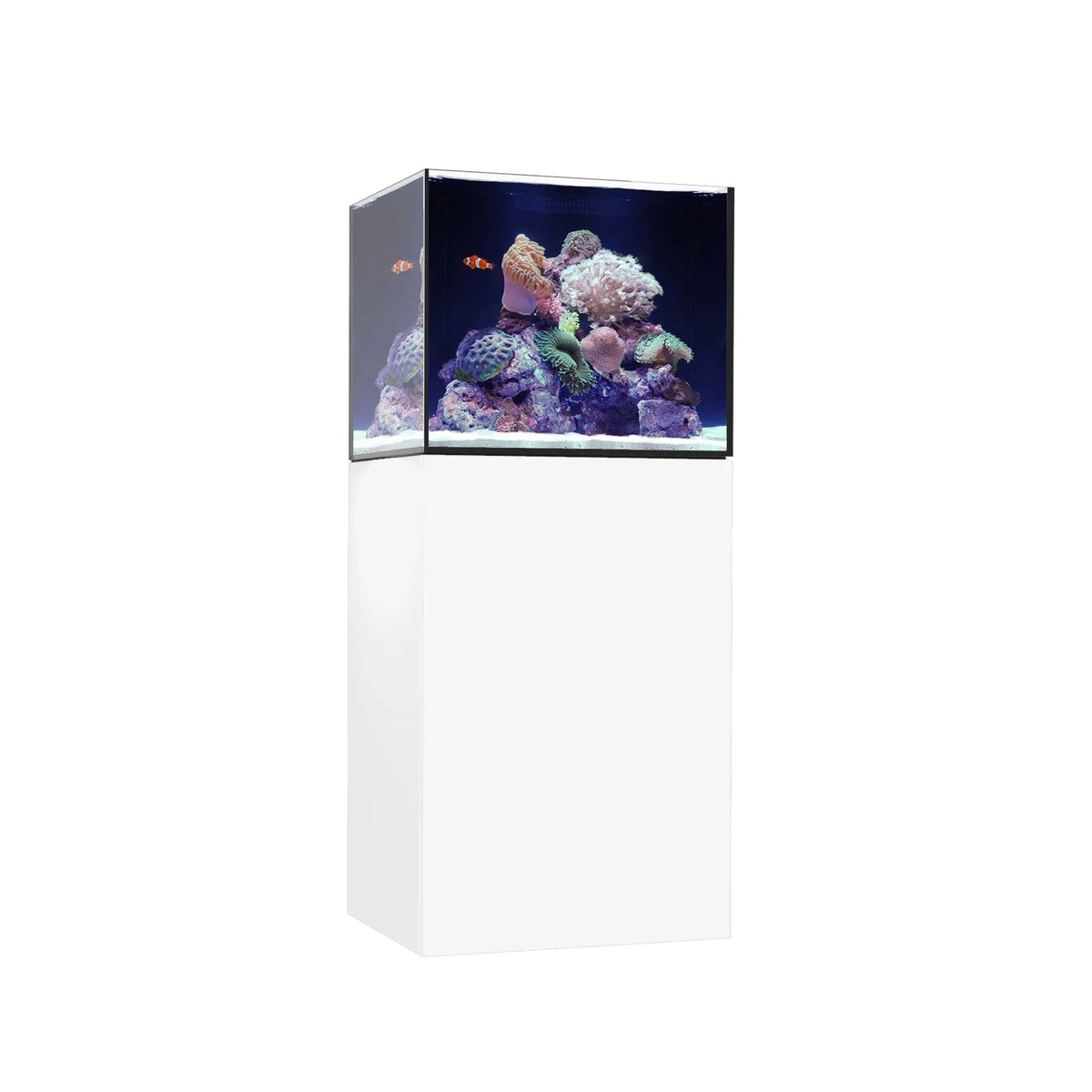 Waterbox Marine X 60.2
